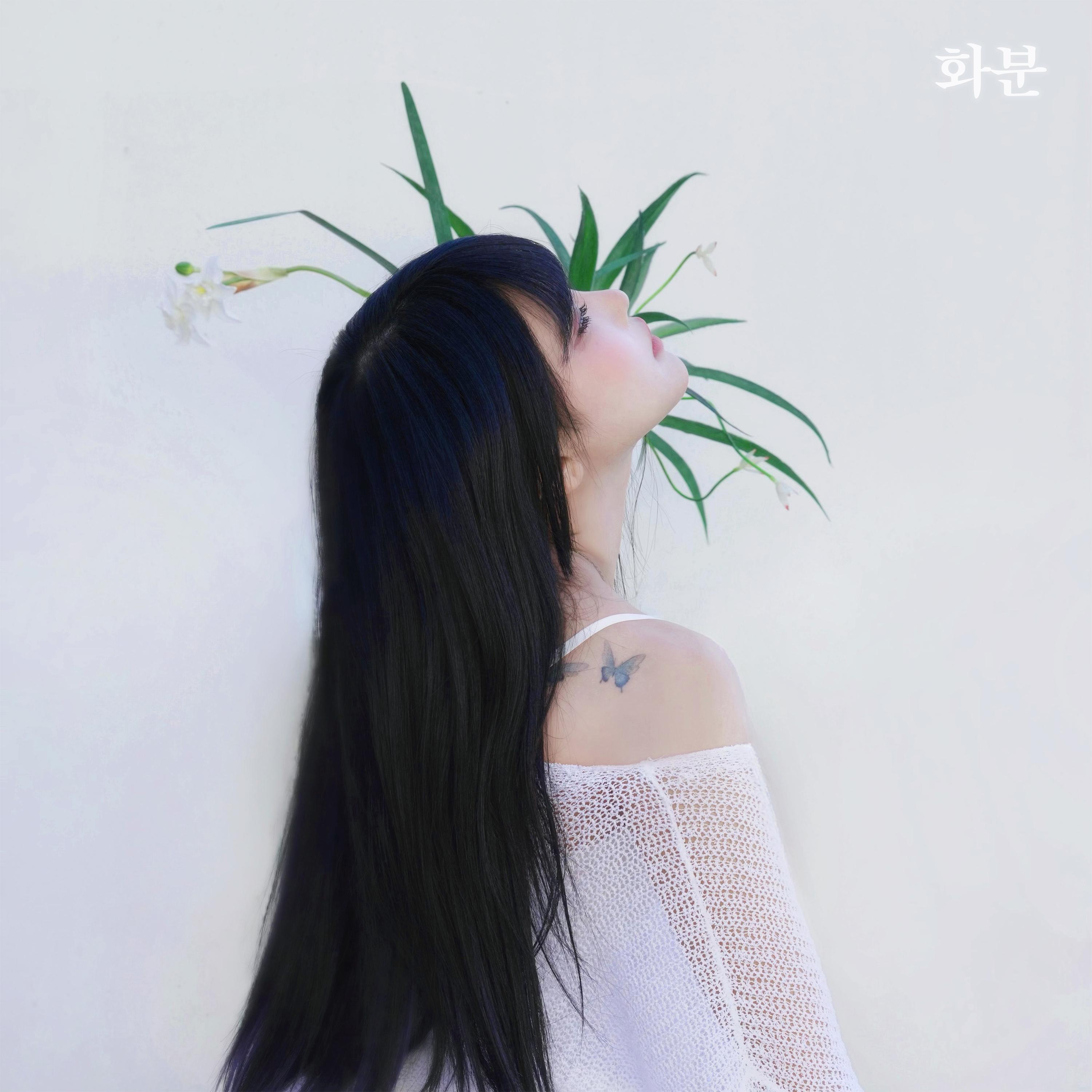 화분