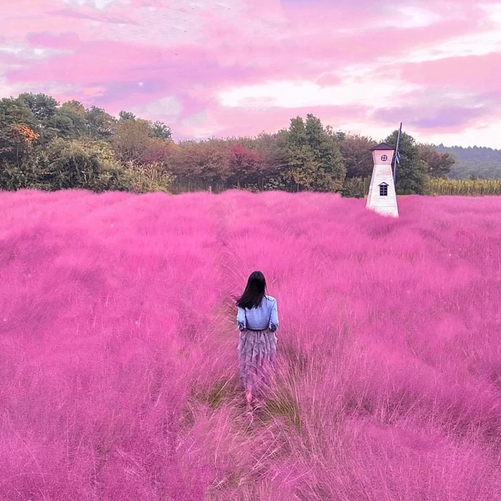 想和你迎着日落，追赶一场映照花海的晚霞