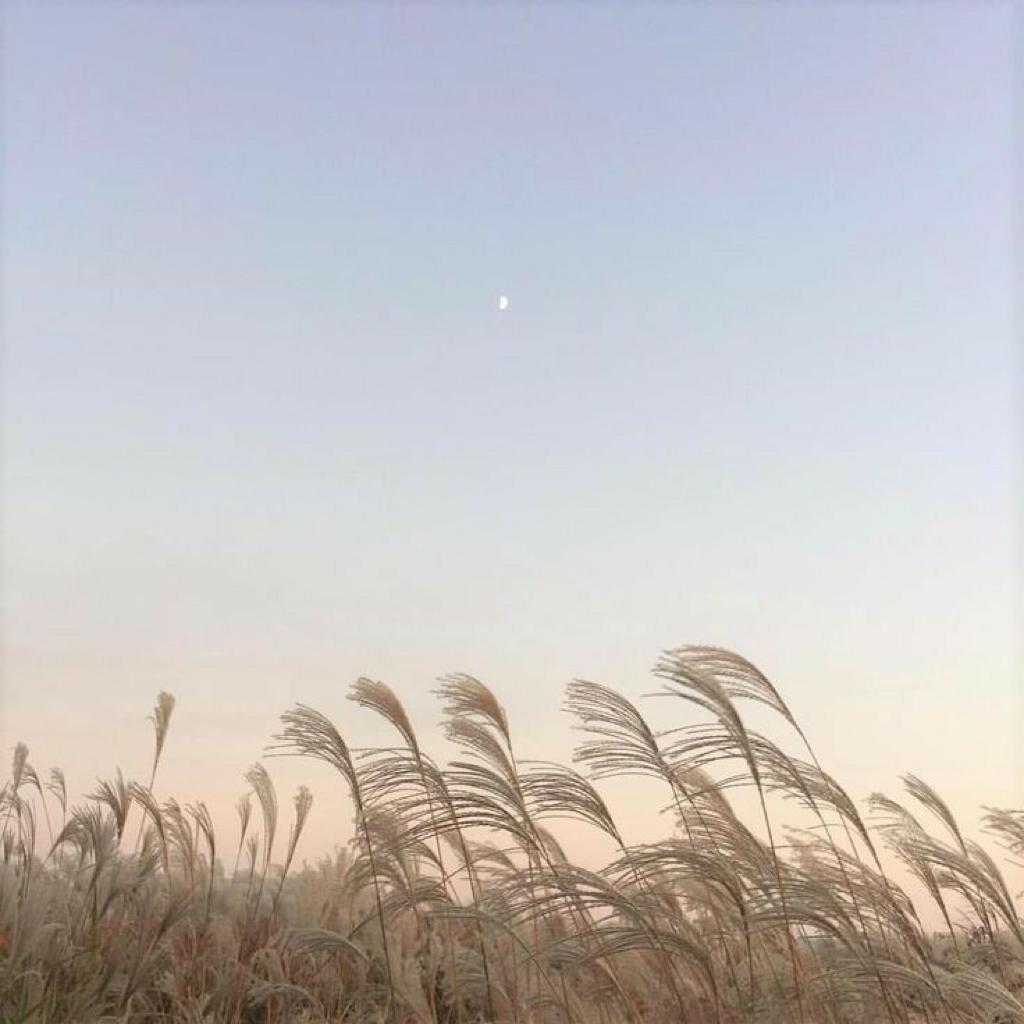 驱散寒意丨温暖轻音伴你同行