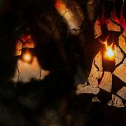 破片 (feat. 重音テト)专辑