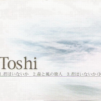 原版伴奏   君はいないか - Toshi