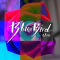 Blue Bird