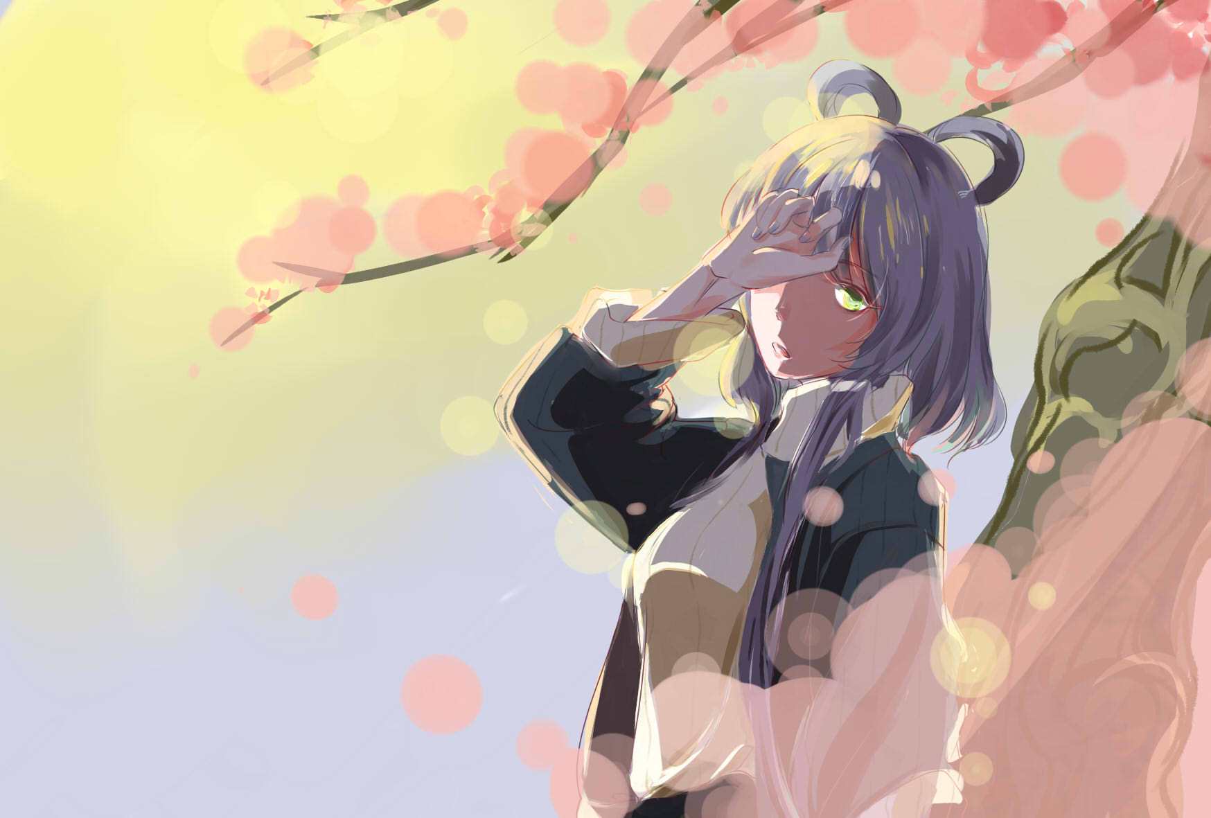 朝露