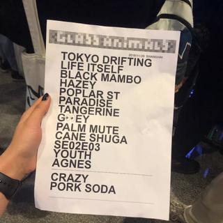 确实是Glass Animals中国巡演歌单