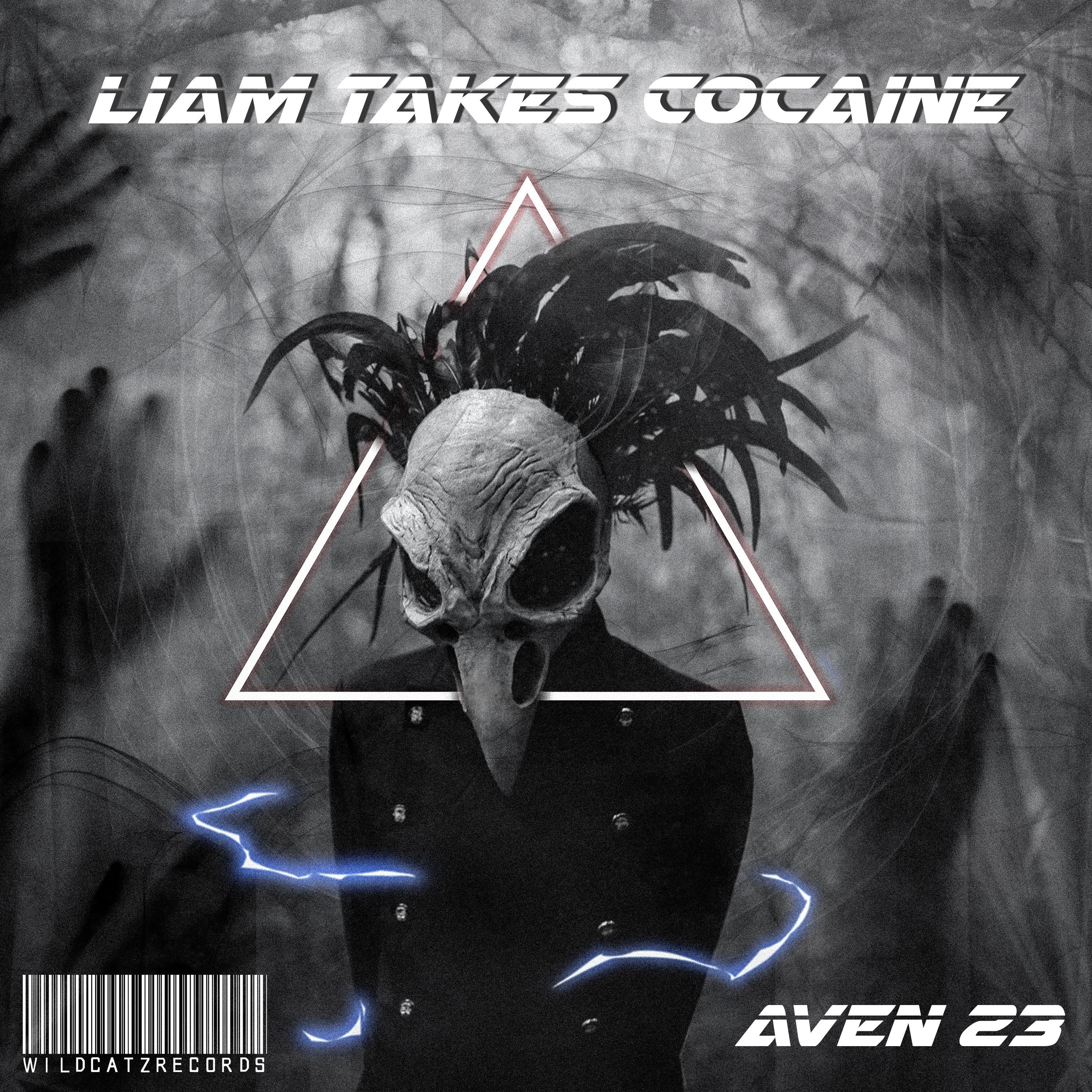 Aven 23 - LIAM TAKES COCAINE