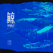 鲸（Whale）A Cappella.版