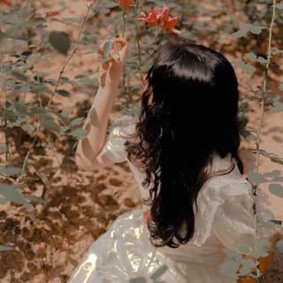「Autumn」晚霞与玫瑰共绘浪漫