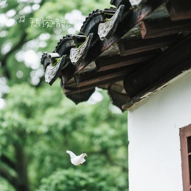 檐下声（Cover 芜凩）