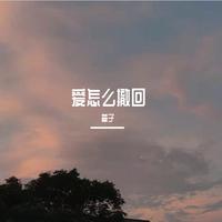 丁芙妮 - 爱怎么撤回(原版立体声伴奏)