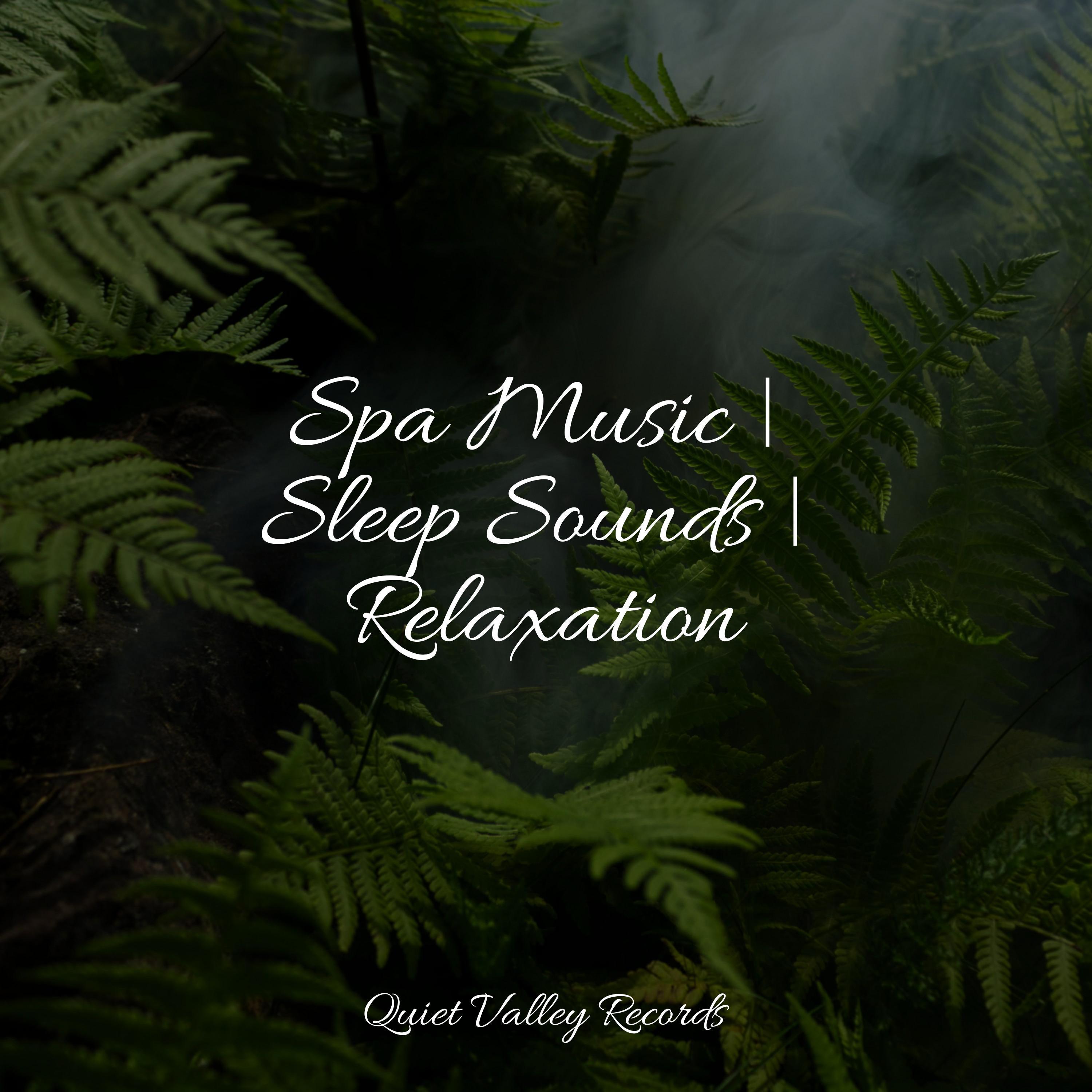 Spa Music | Sleep Sounds | Relaxation - Tranquil Music Sounds of Nature ...