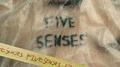 FIVE SENSES专辑