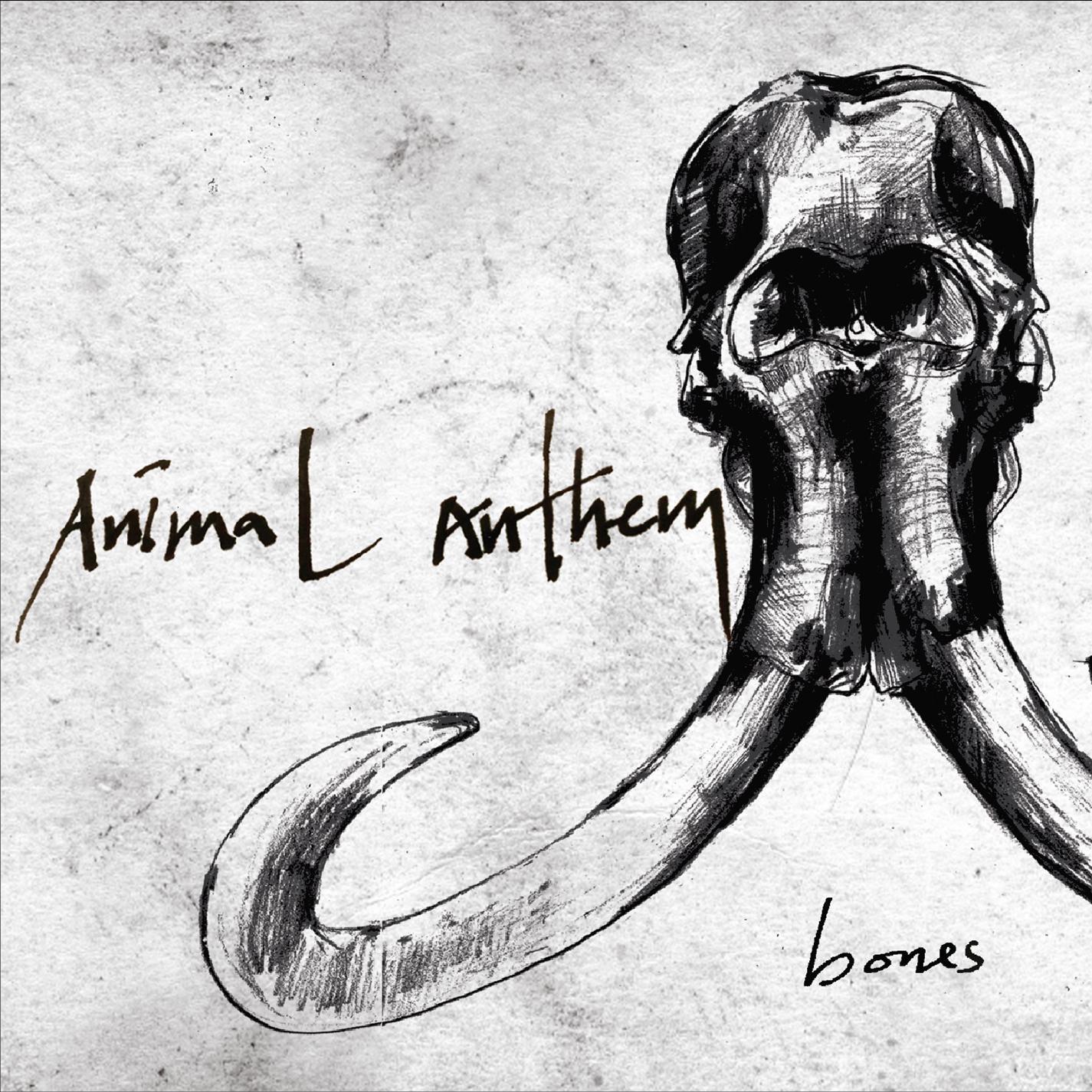 Bones