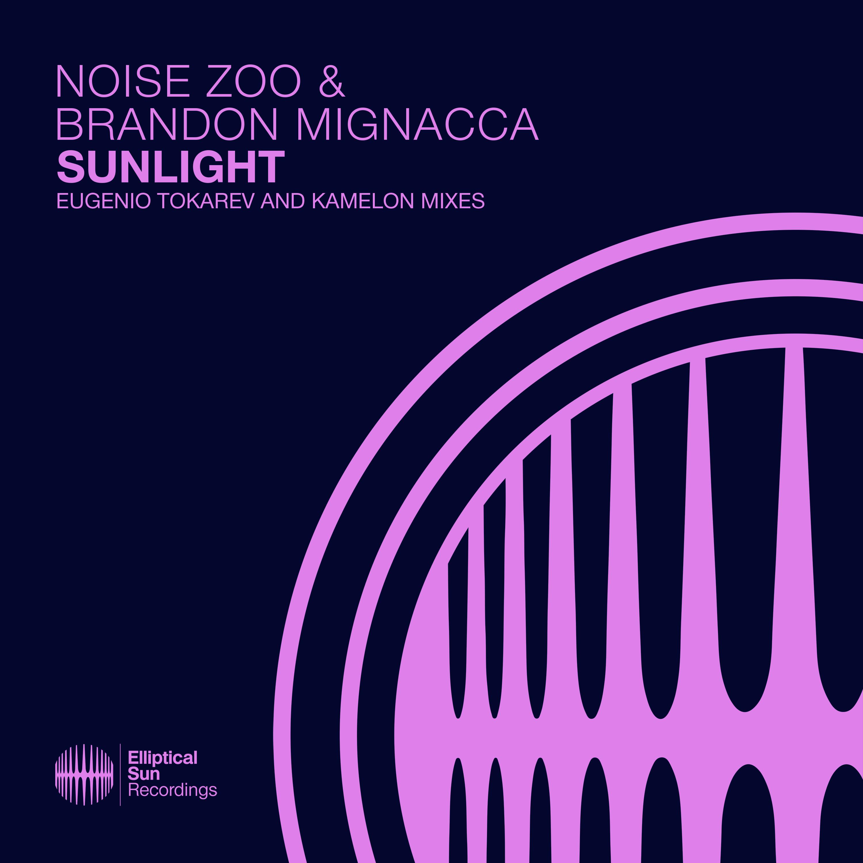 Noise Zoo - Sunlight (Eugenio Tokarev Dub Mix)