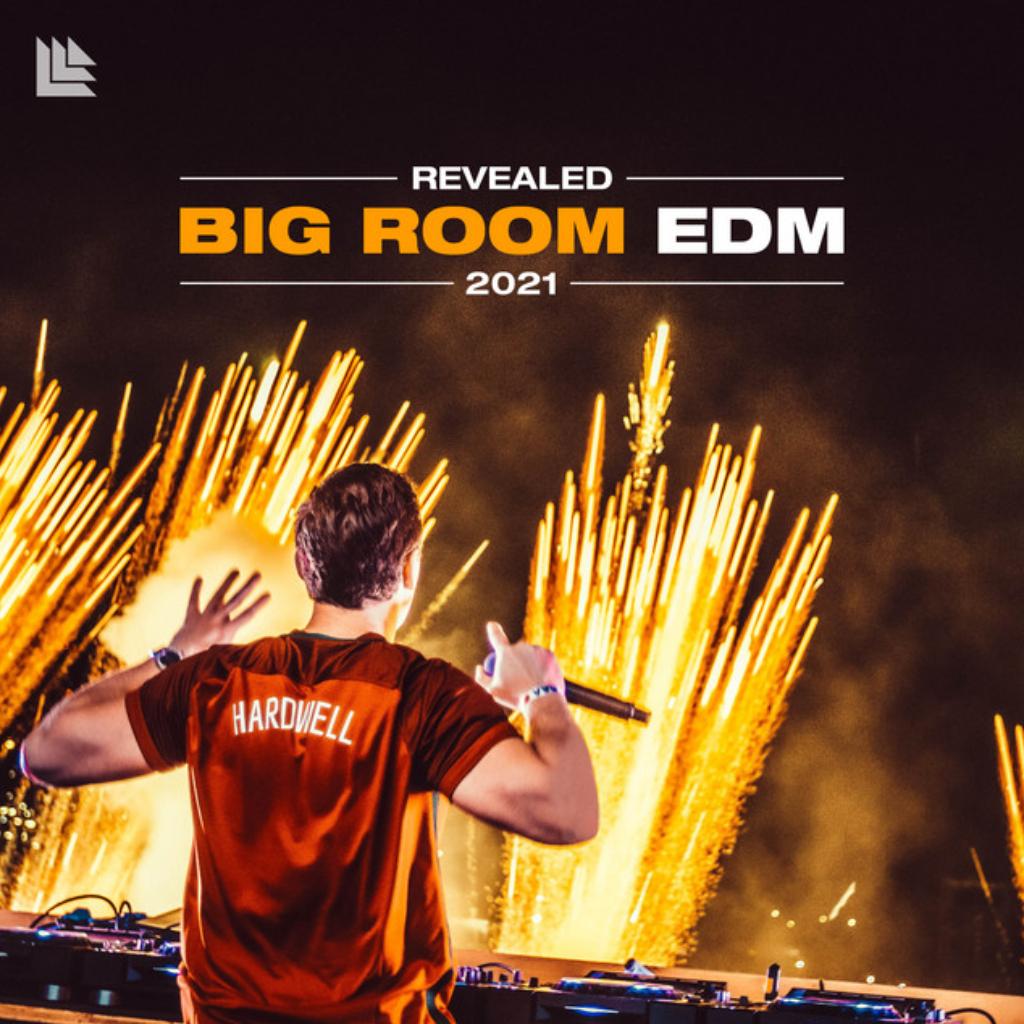 Bigroom EDM | 你不得不听的舞池热单