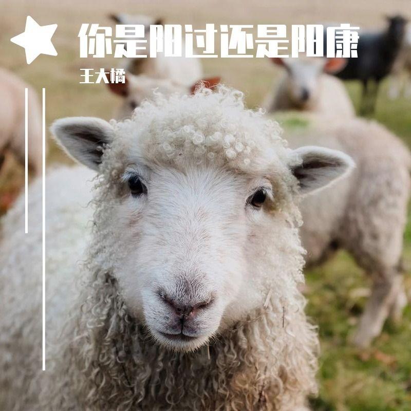 你是阳过还是阳康