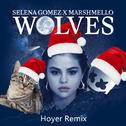 Wolves (Hoyer Bootleg)专辑