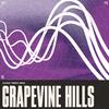 RINZ. - Grapevine Hills