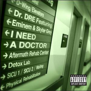 I Need A Doctor - Dr. Dre ft. Eminem & Skylar Grey (PT karaoke) 带和声伴奏