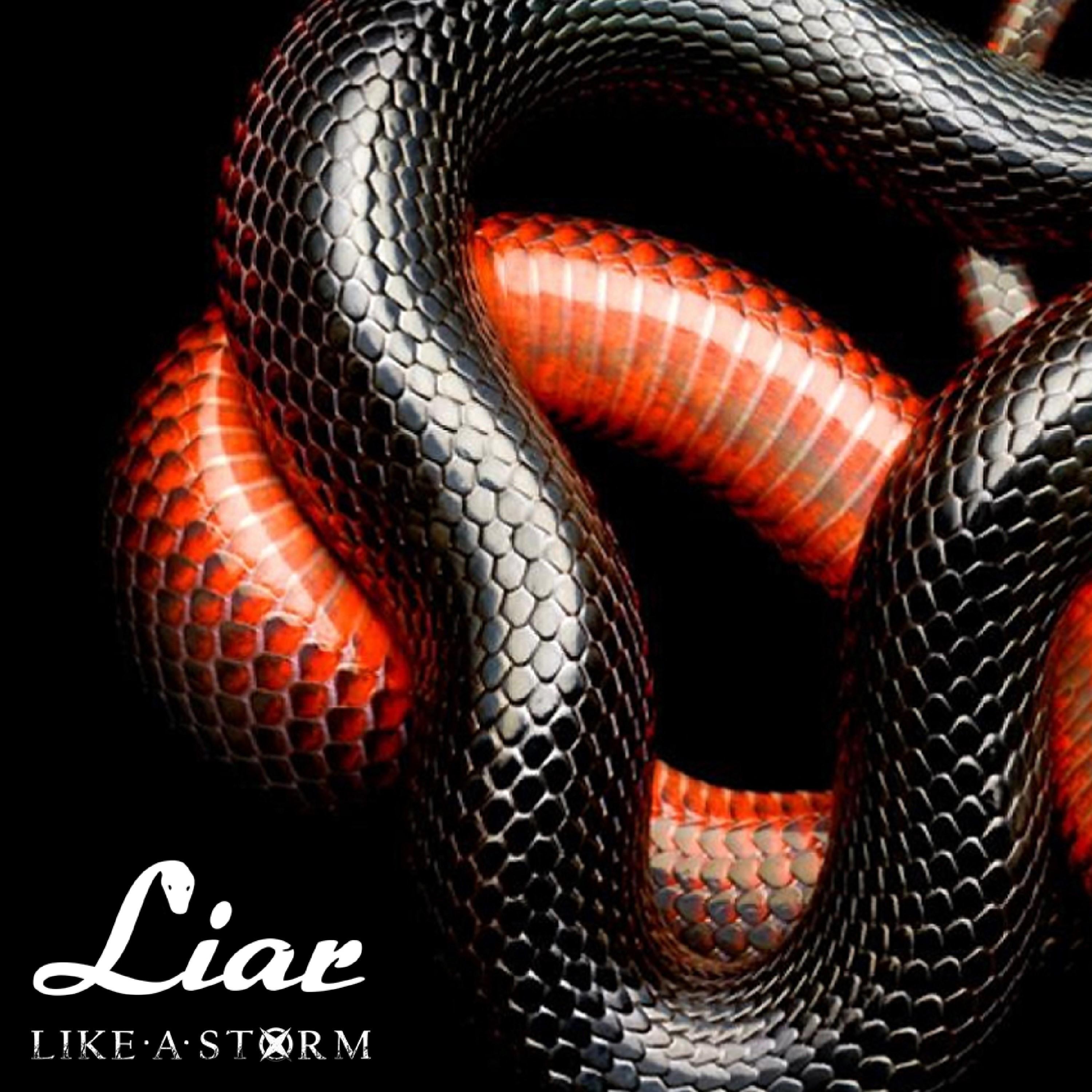 Liar