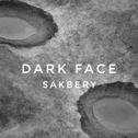 Dark Face专辑