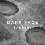 Dark Face专辑