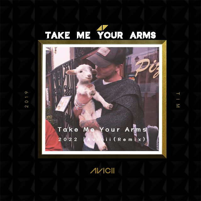 Avicii-Take Me In Your Arms