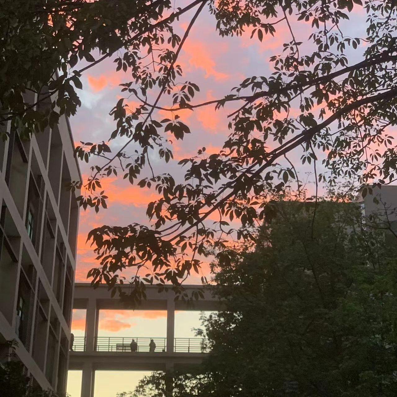 CN RAGE/Stop Brarthing/Badbad/Snooze（Err12 remix）