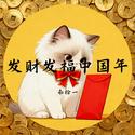 发财发福中国年（R&B版)