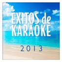 Éxitos de Karaoke 2013专辑