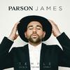 Parson James - Temple (Niko The Kid Remix)