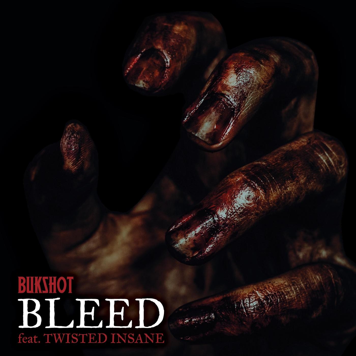 Bleed (feat. Twisted Insane)