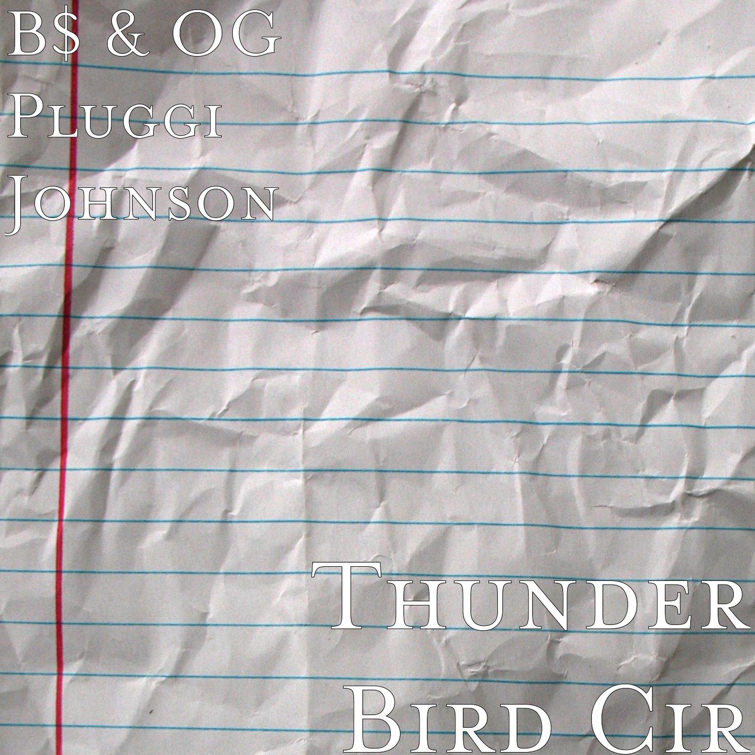 Thunder Bird Cir