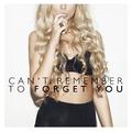 Can't Remember to Forget You - Single