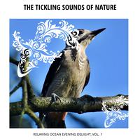 The Tickling Sounds of Nature - Relaxing Ocean Evening Delight, Vol. 1