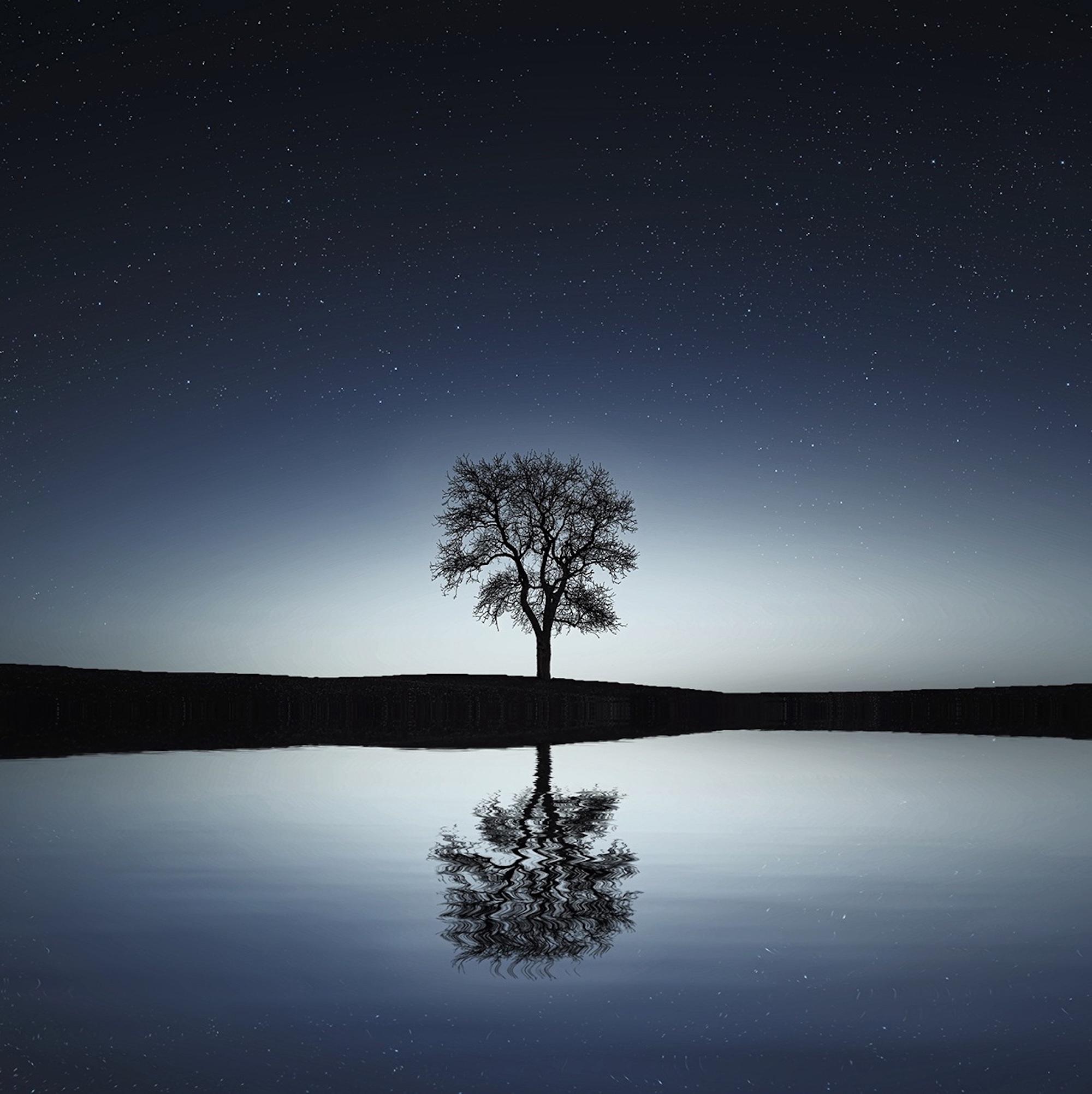 50 Ultimate Lullabies for Rest and Relaxation