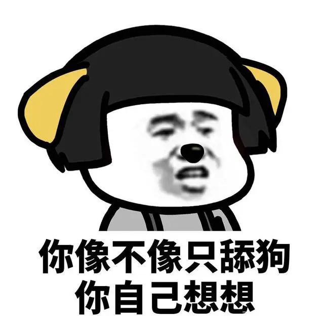 舔狗日记