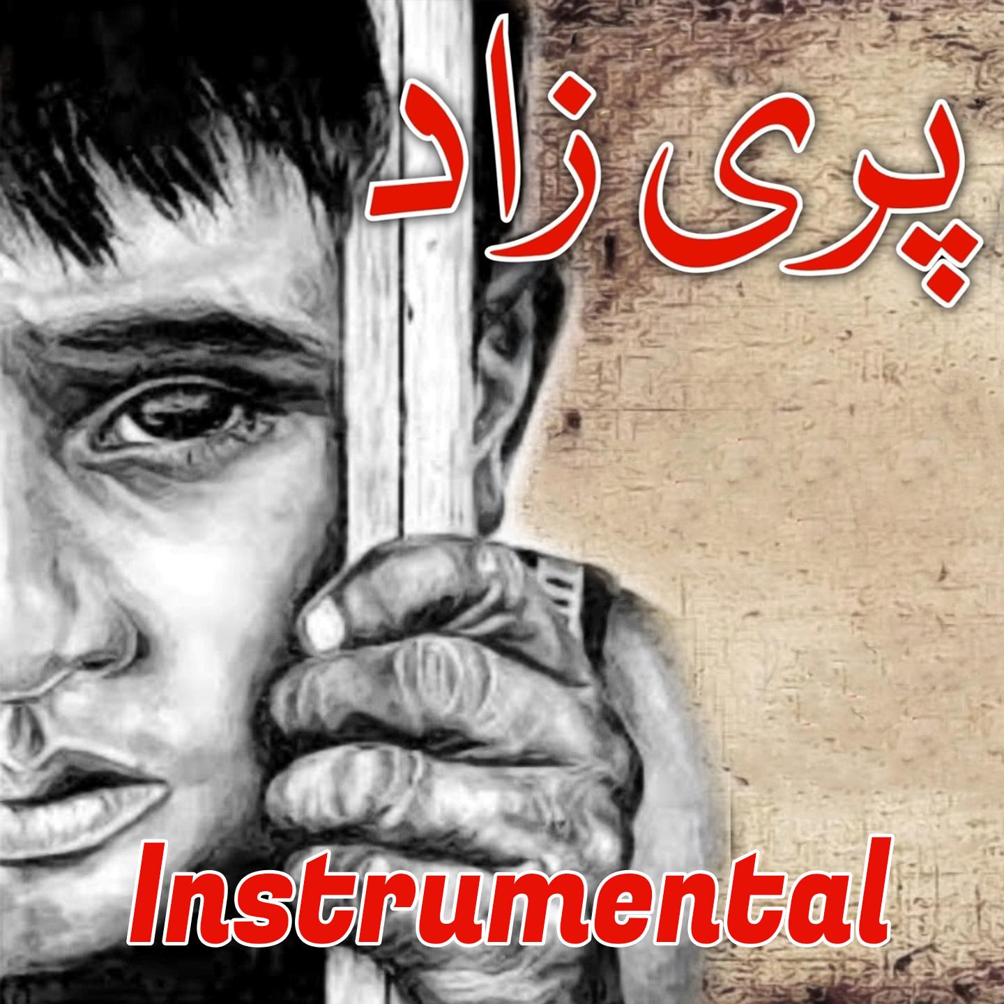Parizaad (Instrumental)