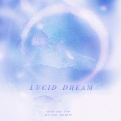 清醒梦境(Lucid Dream)