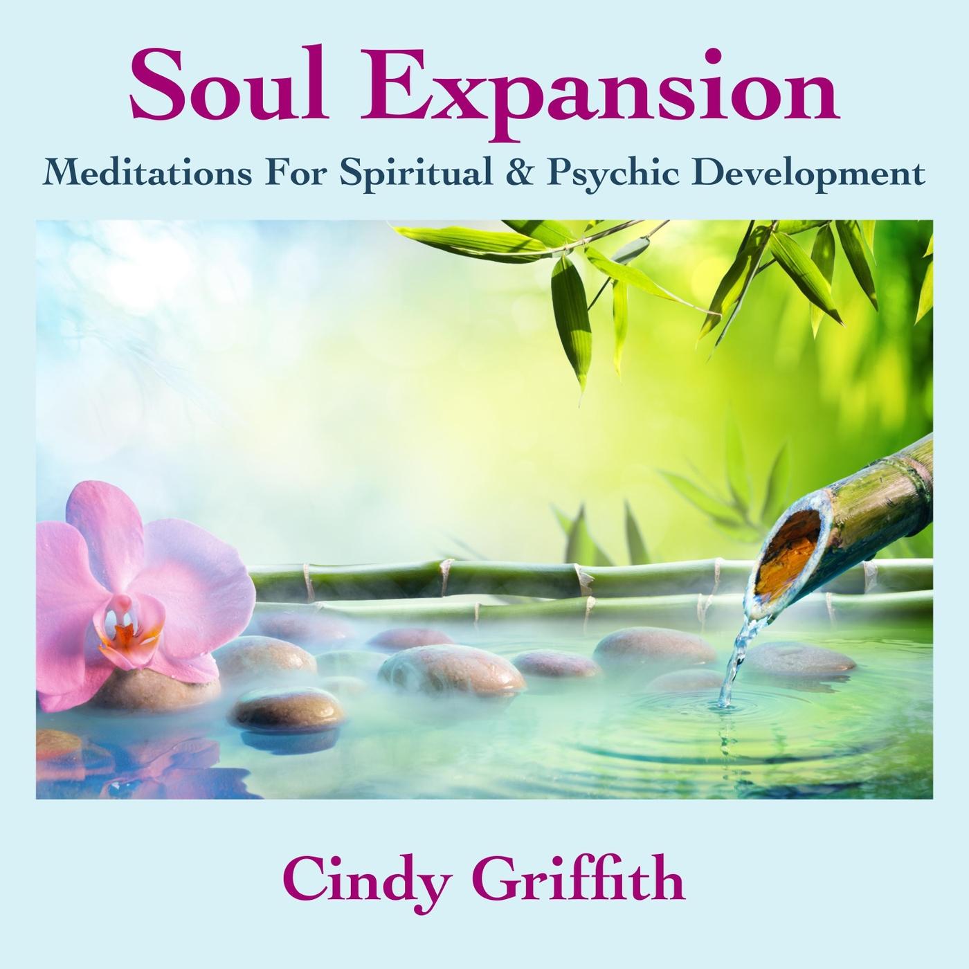 Violet Flame Transmutation Meditation