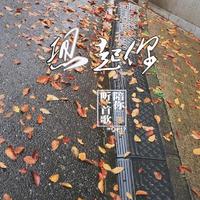 [DJ节目]白尔的DJ节目 第39期