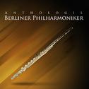 Berliner Philharmoniker, Vol. 2: Symphonie No. 3 «Héroïque»专辑