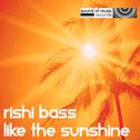 Like The Sunshine专辑