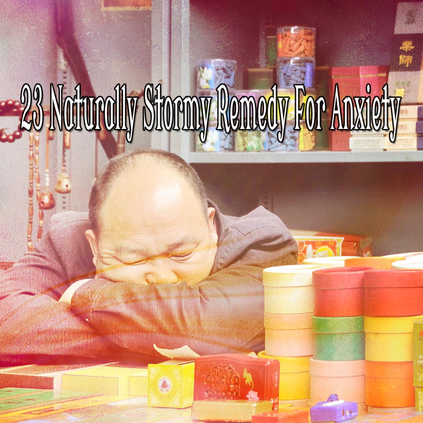 23 Naturally Stormy Remedy For Anxiety专辑