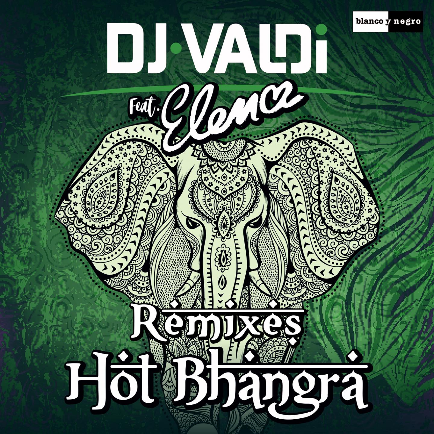 Hot Bhangra (Remixes)专辑