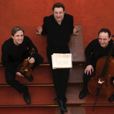 Vienna Piano Trio