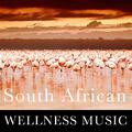 South African Wellness Music