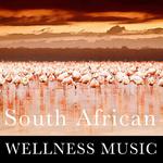 South African Wellness Music专辑