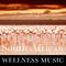 South African Wellness Music专辑