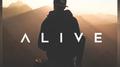 Alive (Hargulf remix)专辑