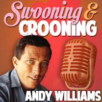 Andy Williams-Three Coins In The Fountain  立体声伴奏